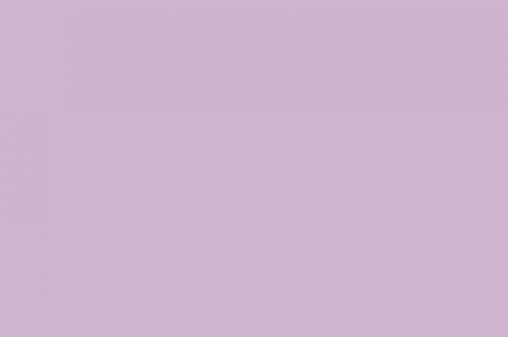 beerschot-4.png
