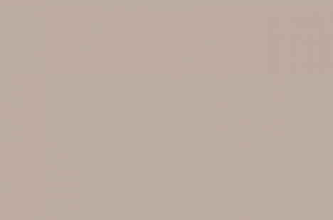 mr-brown-1.png