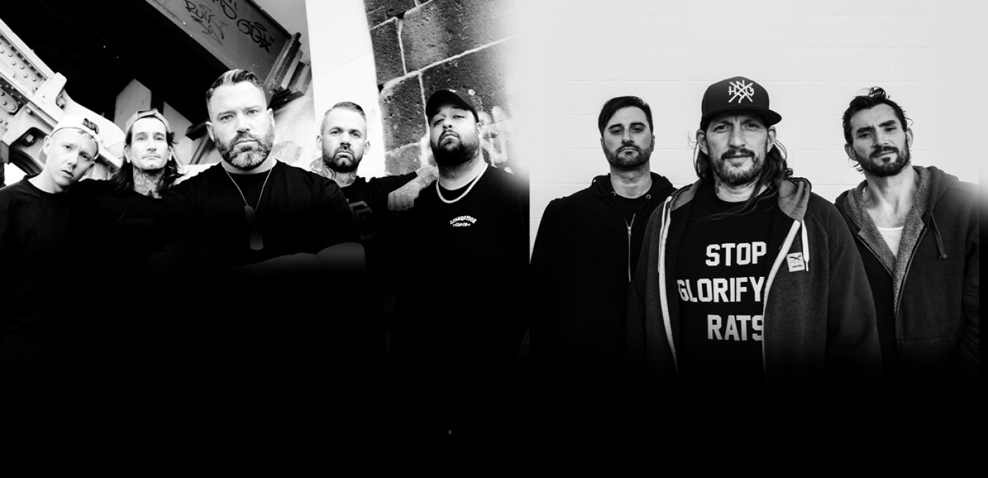 Lionheart / Madball
