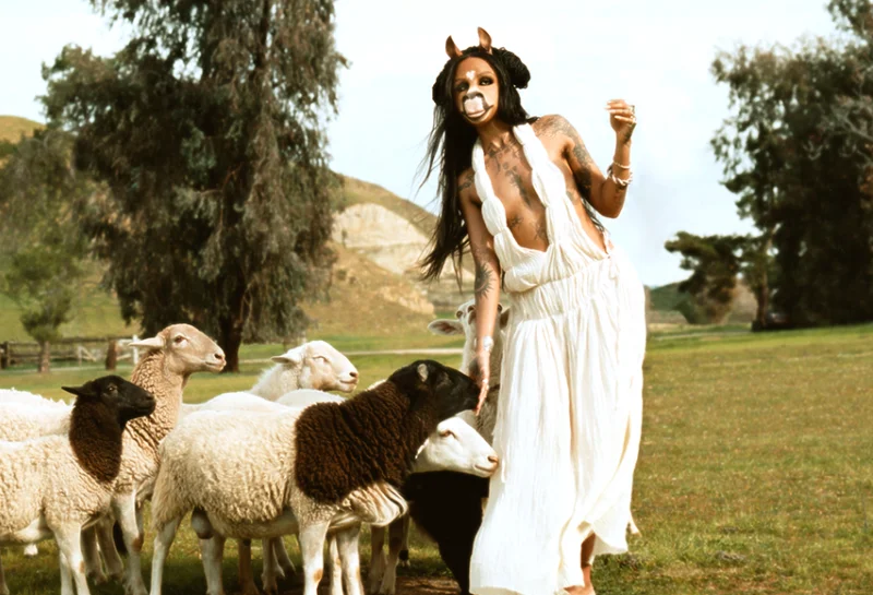 261130-horsegiirlwebsite.png